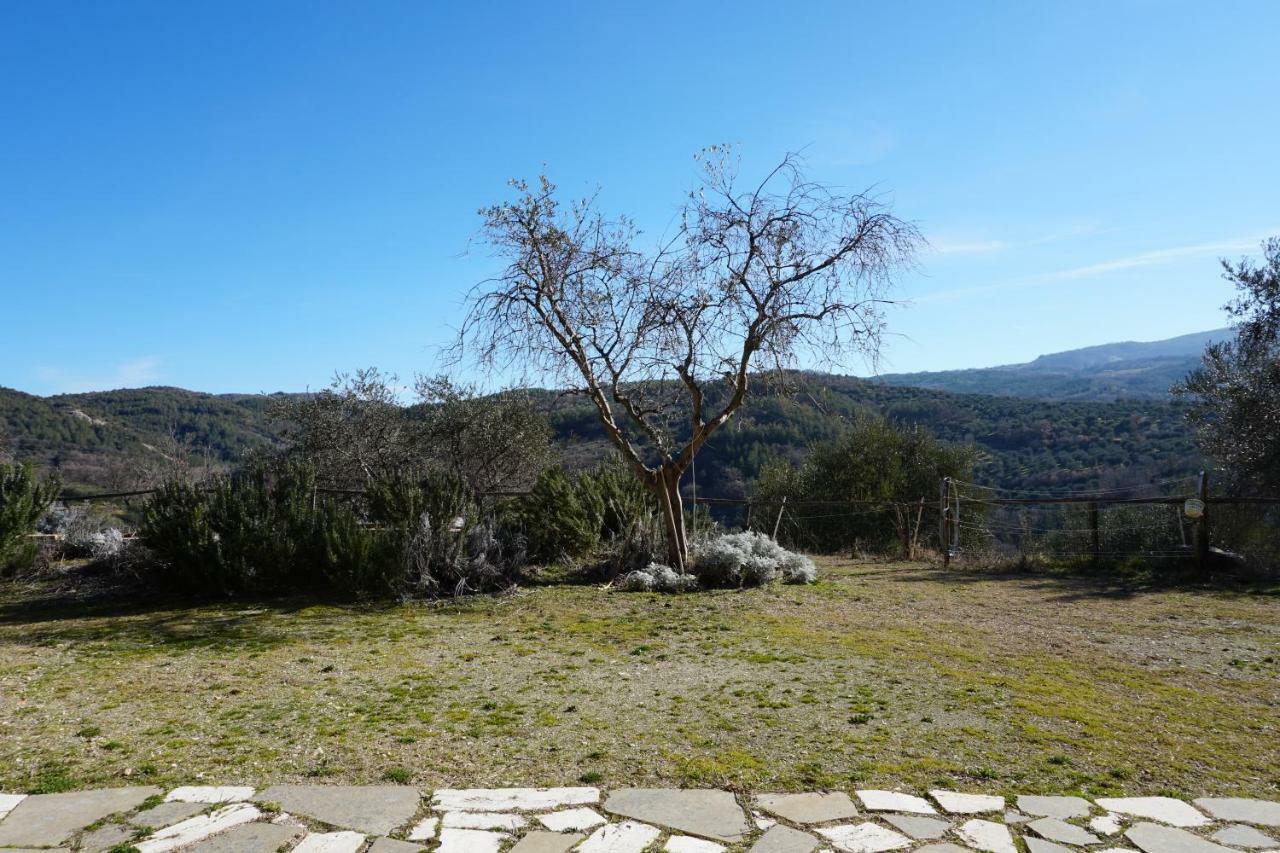 La Casina Di Giannetto Casa de hóspedes Seggiano Exterior foto
